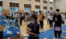 金玛莎最新爆料消息,揭秘娱乐圈惊人内幕